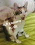 Flöckchen (5)